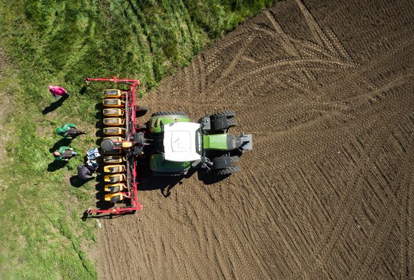 زرع بذور بنجر السكر في قرية لادوجسكايا - سبوتنيك عربي