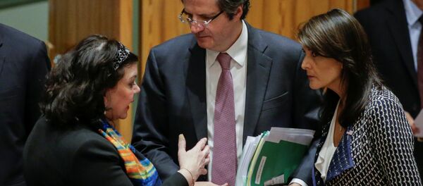 الممثلة الدائمة للولايات المتحدة لدى الأمم المتحدة نيكي هايلي في مجلس الأمن، نيويورك، الولايات المتحدة 13  أبريل/ نيسان 2018 - سبوتنيك عربي