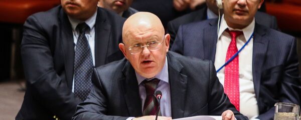 مندوب روسيا الدائم لدى الأمم المتحدة، فاسيلي نيبينزيا - سبوتنيك عربي