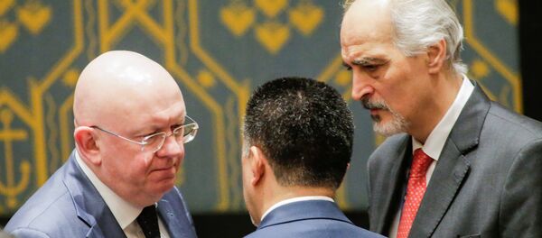 نيبينزيا - سبوتنيك عربي