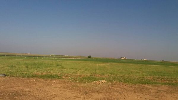 ربيع حلب يزدهر - سبوتنيك عربي