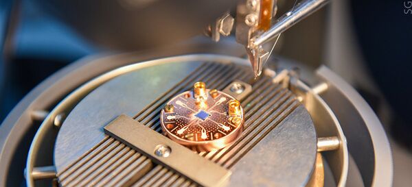 بت كمومي - سبوتنيك عربي