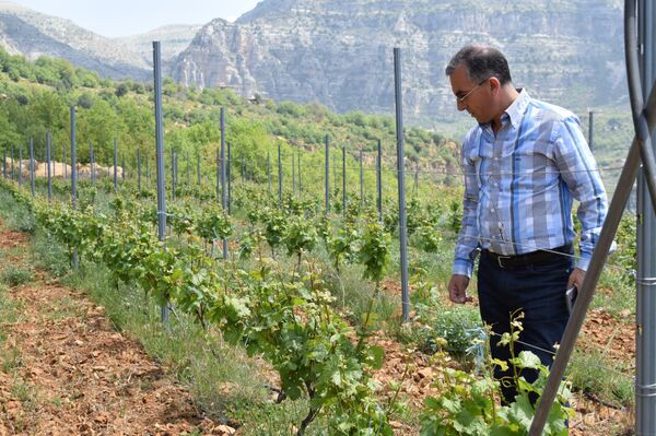 لبناني يتفرد بصنع النبيذ الأزرق - سبوتنيك عربي