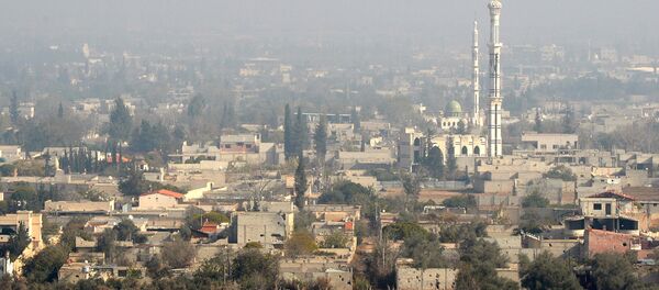 مدينة دوما - سبوتنيك عربي