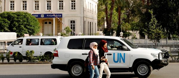 الفريق الأمني التابع للأمم المتحدة - سبوتنيك عربي