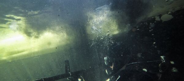 تدريب الغواصين - سبوتنيك عربي