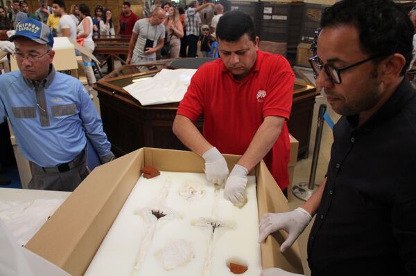 العجلة الحربية للملك توت عنخ آمون - سبوتنيك عربي