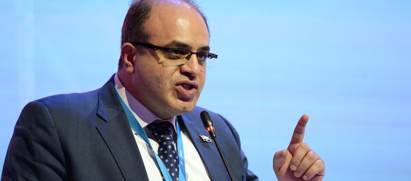وزير الاقتصاد والتجارة الخارجية السوري سامر خليل - سبوتنيك عربي