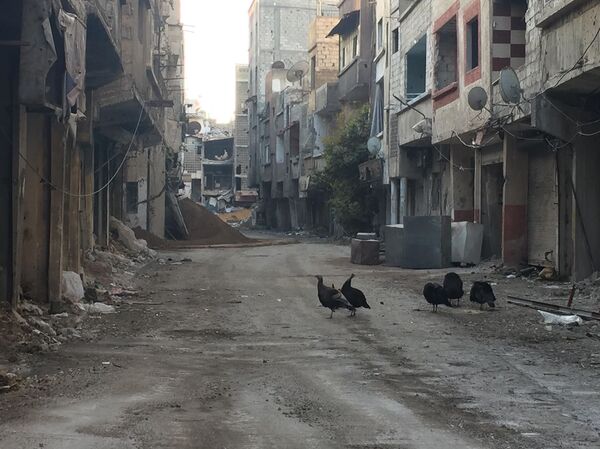 جبهة ريف دمشق الجنوبي - سبوتنيك عربي