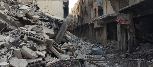 ريف دمشق الجنوبي - سبوتنيك عربي