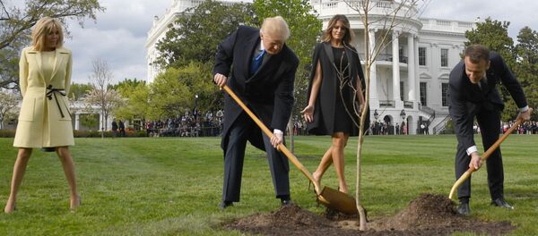 الرئيس الأمريكي دونالد ترامب بمشاركة الرئيس الفرنسي إيمانويل ماكرون بزراعة شجيرة البلوط - سبوتنيك عربي