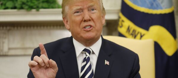 الرئيس الأمريكي دونالد ترامب - سبوتنيك عربي