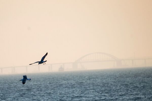 بقي شهر على افتتاح جسر القرم، مضيق كيرتش، روسيا - سبوتنيك عربي