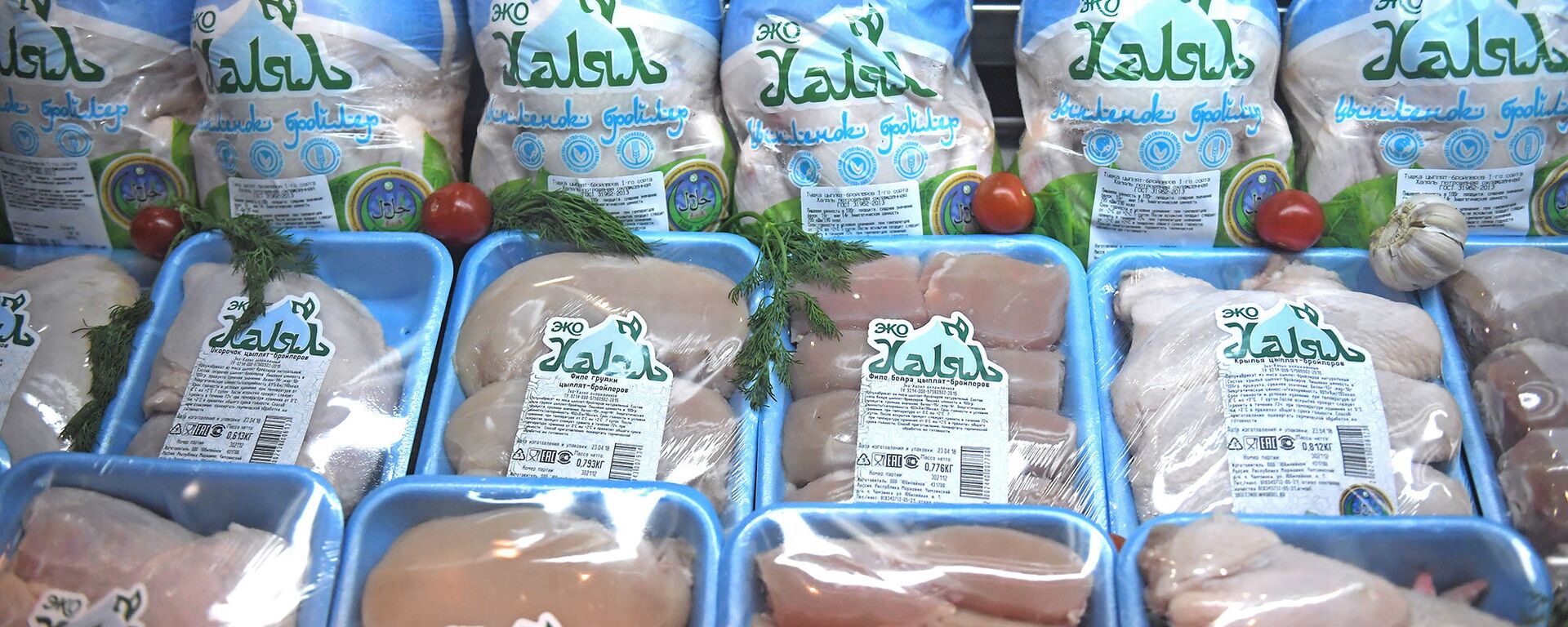  صنع في سوريا عنوان معرض اكسبو حلال في موسكو 2018 - سبوتنيك عربي, 1920, 26.06.2022