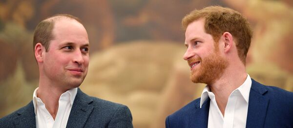 نجلي ولي عهد بريطانيا الأميران هاري ووليام - سبوتنيك عربي