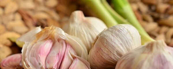 الثوم - سبوتنيك عربي