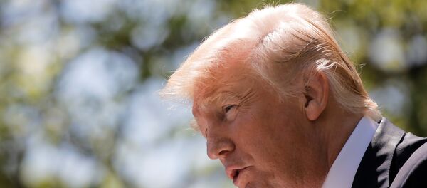 الرئيس الامريكي ترامب الرئيس الامريكي ترامب - سبوتنيك عربي