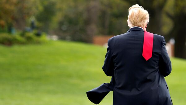 الرئيس الأمريكي دونالد ترامب يمشي على الحديقة الجنوبية للبيت الأبيض في واشنطن قبل مغادرته إلى ميتشيغان، 28 أبريل/ نيسان 2018 - سبوتنيك عربي