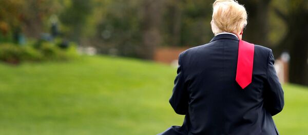 الرئيس الأمريكي دونالد ترامب يمشي على الحديقة الجنوبية للبيت الأبيض في واشنطن قبل مغادرته إلى ميتشيغان، 28 أبريل/ نيسان 2018 - سبوتنيك عربي