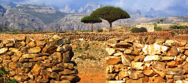 جزيرة سقطرى في اليمن - سبوتنيك عربي