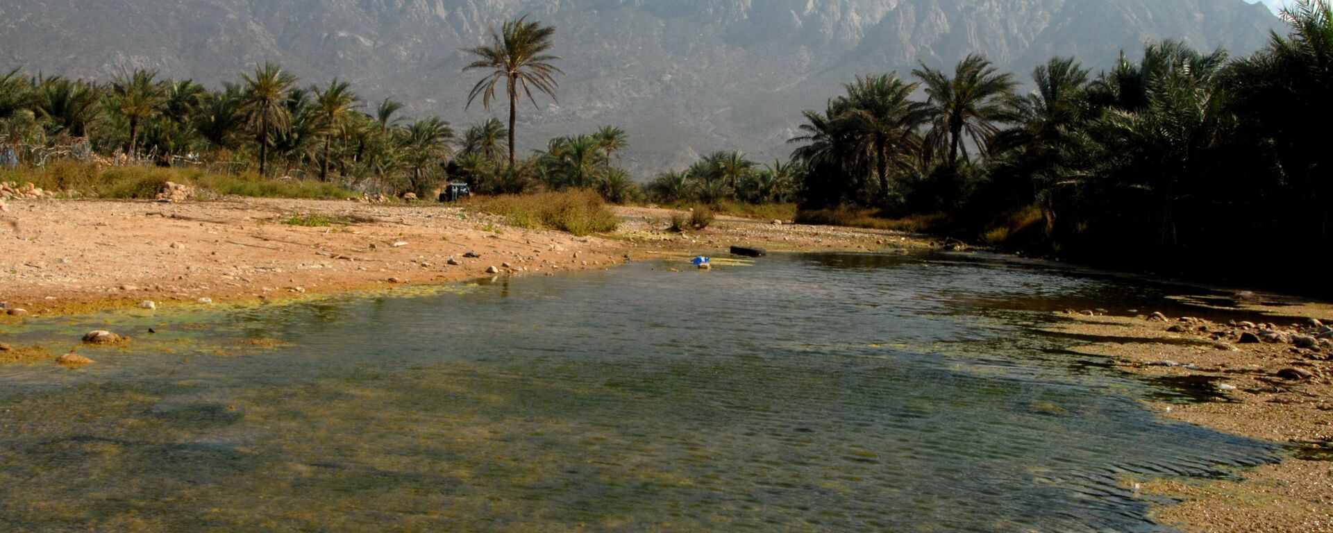 جزيرة سقطرى - سبوتنيك عربي, 1920, 02.08.2023