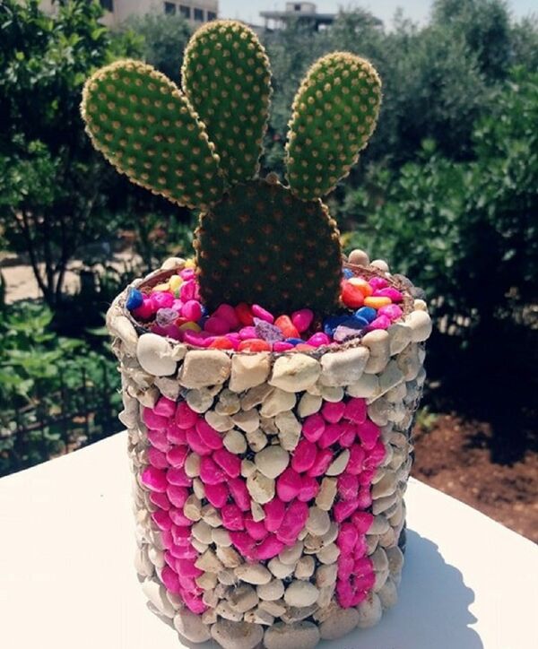  شاب سوري: نبتة الصبّار غيرت مجرى حياتي - سبوتنيك عربي