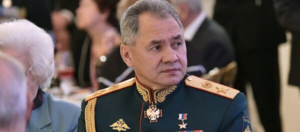 وزير الدفاع الروسي سيرغي شويغو - سبوتنيك عربي