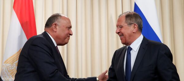 سيرغي لافروف وسامح شكري - سبوتنيك عربي