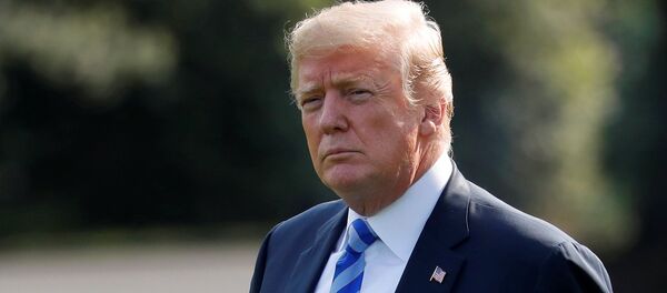 الرئيس الأمريكي دونالد ترامب - سبوتنيك عربي