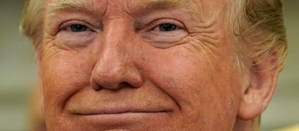 الرئيس الأمريكي دونالد ترامب - سبوتنيك عربي