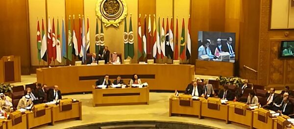 اجتماع وزراء الخارجية العرب - سبوتنيك عربي