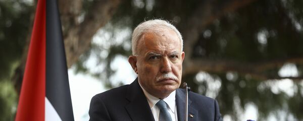 وزير الخارجية الفلسطيني رياض المالكي خلال مؤتمر صحفي في أنطاليا، تركيا، 3 فبراير/ شباط 2018 - سبوتنيك عربي