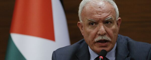  وزير الخارجية الفلسطيني رياض المالكي خلال مؤتمر صحفي في اسطنبول، تركيا 20 ديسمبر/ كانون الأول 2018 - سبوتنيك عربي