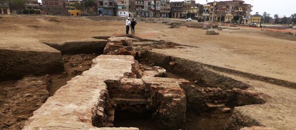 كشف أثري صان الحجر - سبوتنيك عربي