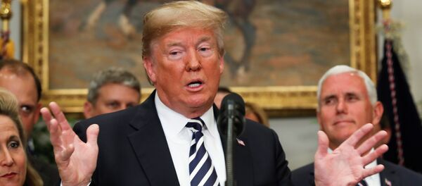 الرئيس الأمريكي دونالد ترامب - سبوتنيك عربي