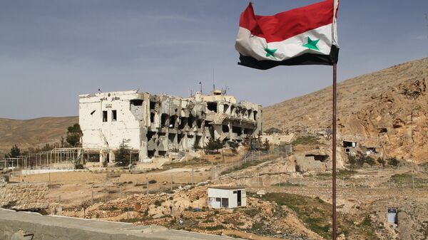 العلم السوري - سبوتنيك عربي