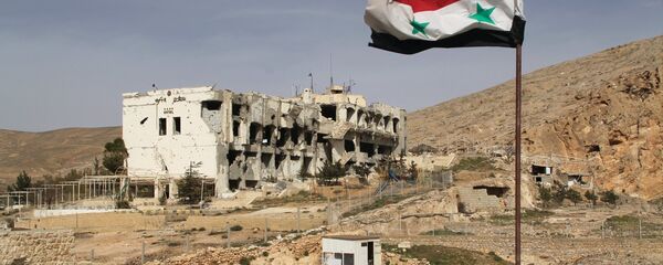 العلم السوري - سبوتنيك عربي