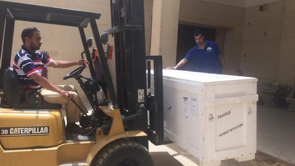 المتحف المصري الكبير - سبوتنيك عربي