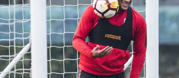 هالك - سبوتنيك عربي