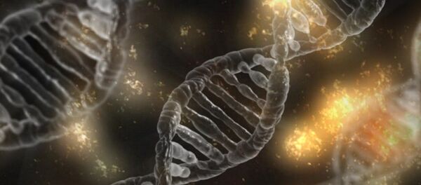 العلماء يعثرون على الجين الذي حول القرد إلى إنسان - سبوتنيك عربي