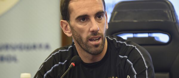 دييغو غودين قائد منتخب الأوروغواي - سبوتنيك عربي