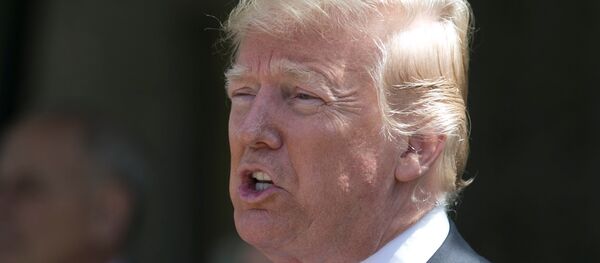 الرئيس الأمريكي دونالد ترامب - سبوتنيك عربي