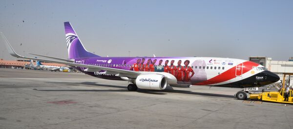 طائرة المنتخب المصري لكرة القدم - سبوتنيك عربي