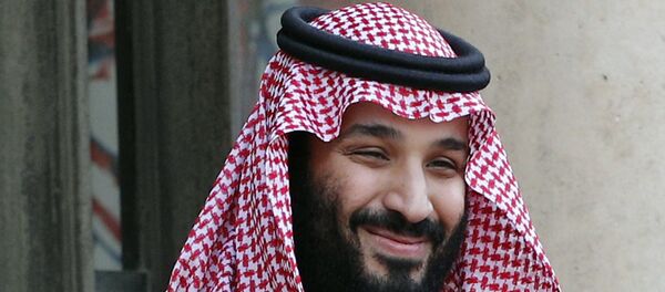 ولي العهد السعودي الأمير محمد بن سلمان - سبوتنيك عربي