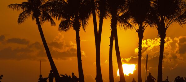 هاواي - سبوتنيك عربي