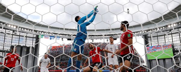 محمد الشناوي حارس مرمى منتخب مصر - سبوتنيك عربي