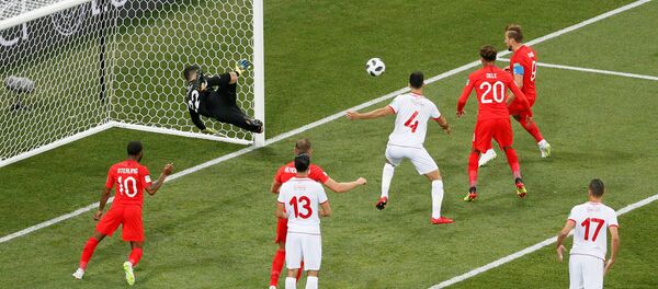 هاري كين - سبوتنيك عربي