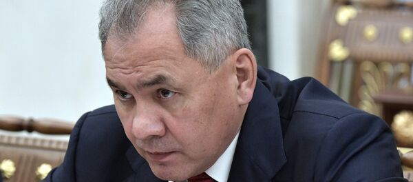 وزير الدفاع الروسي سيرغي شويغو - سبوتنيك عربي