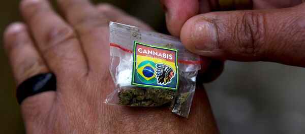 الماريجوانا - سبوتنيك عربي