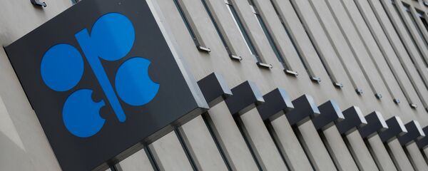 اجتماع الدول الأعضاء في منظمة أوبك في فيينا - سبوتنيك عربي